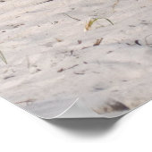 Napping van wilde pony's in het nationaal park Ass Poster (Hoek)