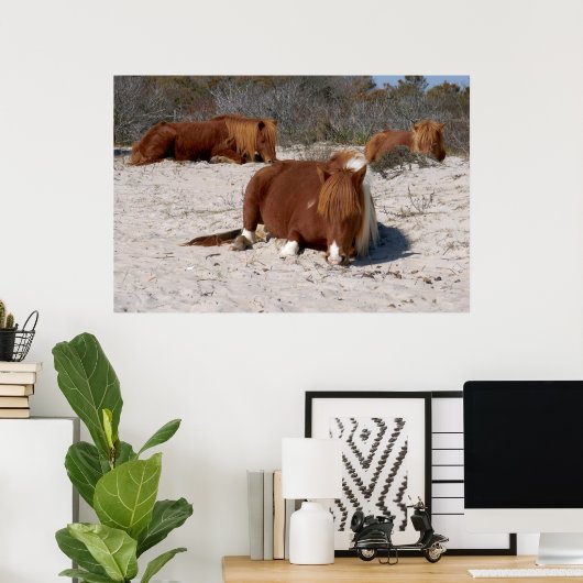 Napping van wilde pony's in het nationaal park Ass Poster (Thuiskantoor)