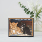 Naptime! Briefkaart (Staand voorkant)