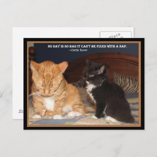 Naptime! Briefkaart (Voorkant / Achterkant)