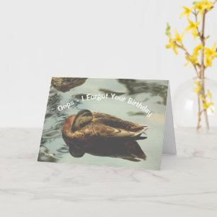 Naptime Duck Cute Belated Birthday Kaart
