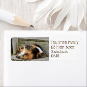 Naptime Etiket (Insitu)