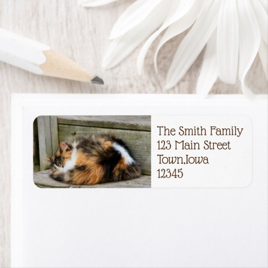 Naptime Etiket (Insitu)