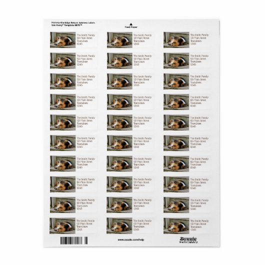 Naptime Etiket (Full Sheet)