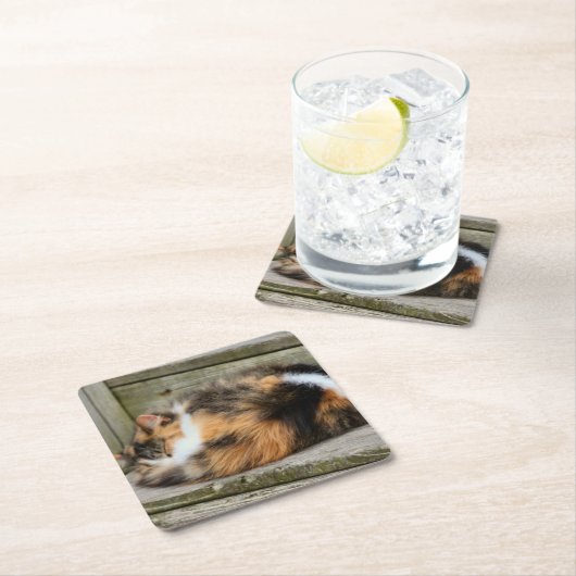 Naptime Kartonnen Onderzetters (Insitu)