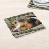 Naptime Kartonnen Onderzetters (Schuin)