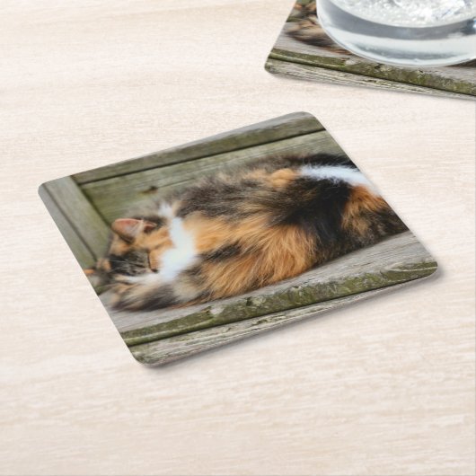 Naptime Kartonnen Onderzetters (Schuin)