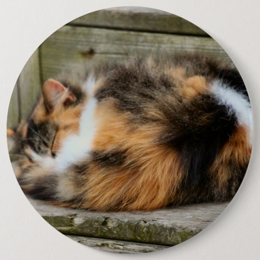 Naptime Ronde Button 6,0 Cm (Voorkant)