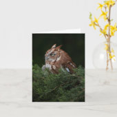 Naptime voor de notakaart van de Uil van de Kaart (Gele Bloem)