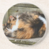 Naptime Zandsteen Onderzetter (Voorkant)