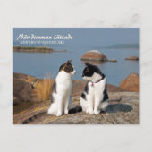 När dimman lättade CC0547 Sideby Briefkaart (Voorkant)