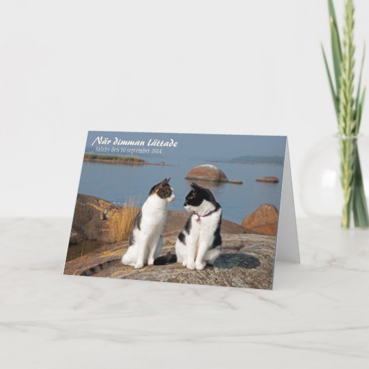 När dimman lättade CC0548 Sideby Wenskaart Kaart (Voorkant)