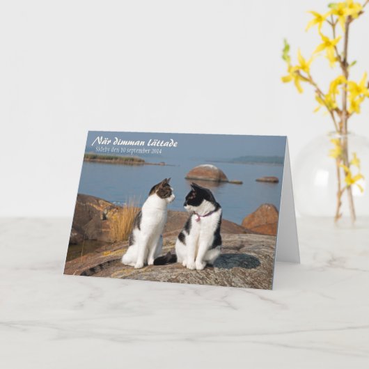 När dimman lättade CC0548 Sideby Wenskaart Kaart (Gele Bloem)