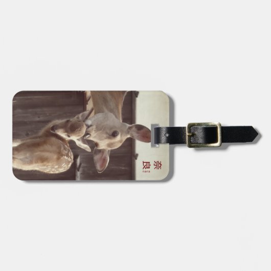 Nara, Japan - Sika Deer - Mother & Fawn Bagagelabel (Voorkant horizontaal)