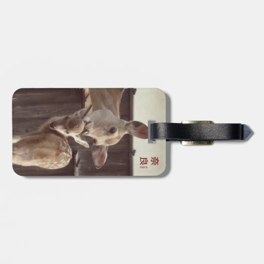 Nara, Japan - Sika Deer - Mother & Fawn Bagagelabel (Achterkant horizontaal)