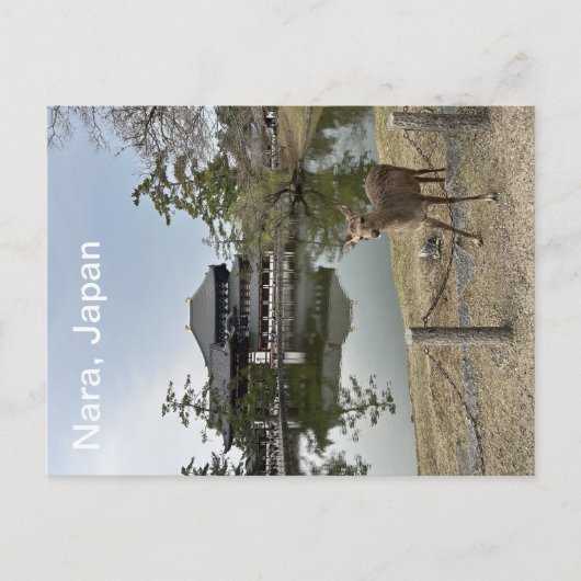 Nara, Japans briefkaart (Voorkant)