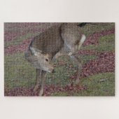 Nara Park 2024 Legpuzzel (Horizontaal)