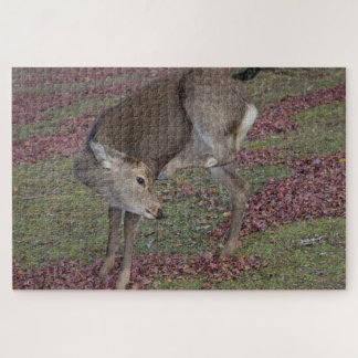 Nara Park 2024 Legpuzzel