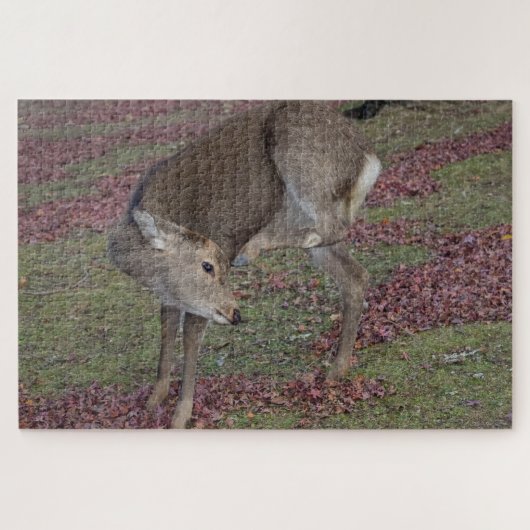 Nara Park 2024 Legpuzzel (Horizontaal)