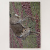 Nara Park 2024 Legpuzzel (Verticaal)