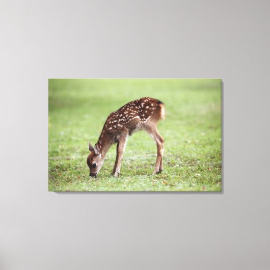 Nara Prefecture, Honshu, Japan 3 Canvas Afdruk (Voorkant)