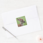 Nara Prefecture, Honshu, Japan Vierkante Sticker (Envelop)