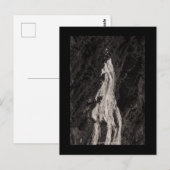 Narada Herfsten, WA Briefkaart (Voorkant / Achterkant)