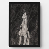 Narada Herfsten, WA Fotoplaat (voorkant)