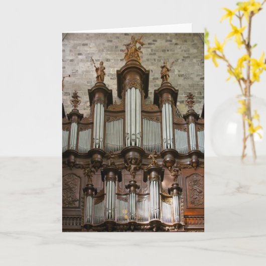 Narbonne Cathedral orgel Kaart (Gele Bloem)