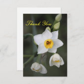 Narcis Bedankkaart (Voorkant / Achterkant)