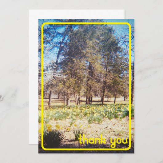  narcis bedankkaart (Voorkant / Achterkant)