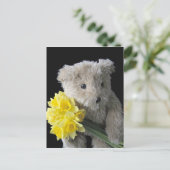 narcis beer briefkaart (Staand voorkant)