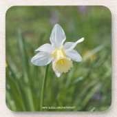 Narcis Bier Onderzetter (Voorkant)