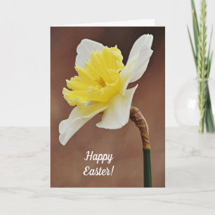 Narcis Bloeiende Pasen Kaart