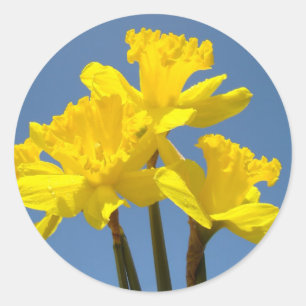 Narcis Bloemen stickers Gele Lente Narcis