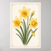 Narcis botanisch, maart geboortebloem poster (Voorkant)
