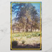  narcis briefpapier (Voorkant)