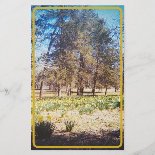  narcis briefpapier (Voorkant)