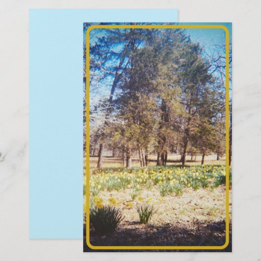  narcis briefpapier (Voorkant / Achterkant)