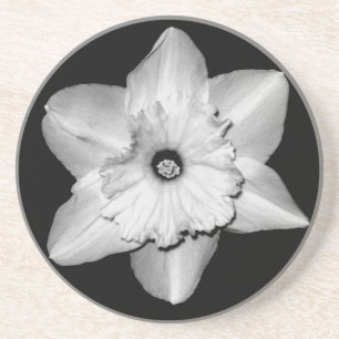 Narcis Close-up (Z&W) Onderzetter