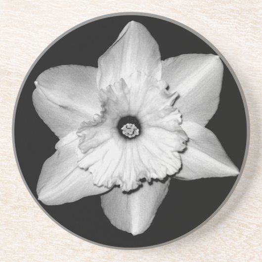 Narcis Close-up (Z&W) Onderzetter (Voorkant)