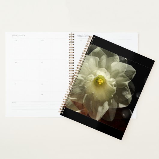 Narcis Dromen Planner (Display)