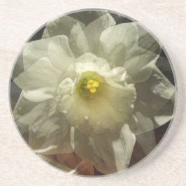 Narcis Dromen Zandsteen Onderzetter