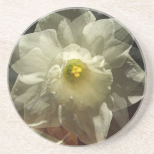 Narcis Dromen Zandsteen Onderzetter