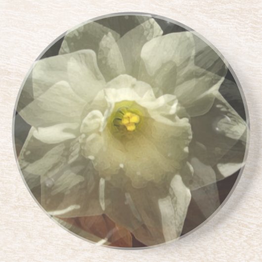 Narcis Dromen Zandsteen Onderzetter (Voorkant)