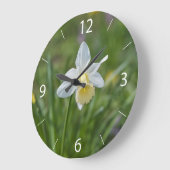 Narcis Grote Klok (Hoek)