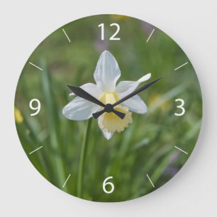 Narcis Grote Klok
