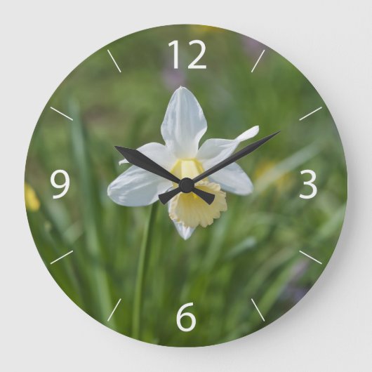 Narcis Grote Klok (Voorkant)