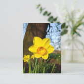 Narcis in de Park Ansichtkaart Briefkaart (Staand voorkant)