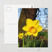 Narcis in de Park Ansichtkaart Briefkaart (Voorkant / Achterkant)
